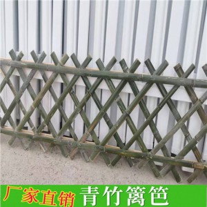 送立柱pvc塑钢护栏围栏栅栏草坪护栏道路护栏庭院花园