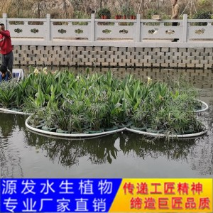 源发承接各种水生植物净水绿化工程  生态浮岛