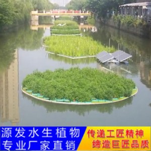 源发承接各种水生植物净水绿化工程  生态浮岛