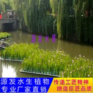 源发承接各种水生植物净水绿化工程  生态浮岛