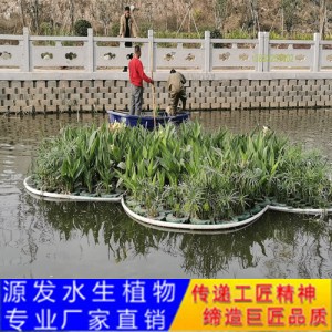 源发承接各种水生植物净水绿化工程  生态浮岛