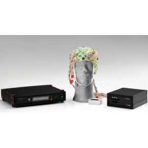 NeurOne高精度有线脑电系统