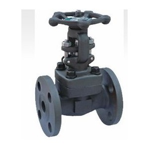 高温闸阀 意威法兰式锻钢高温闸阀 上海